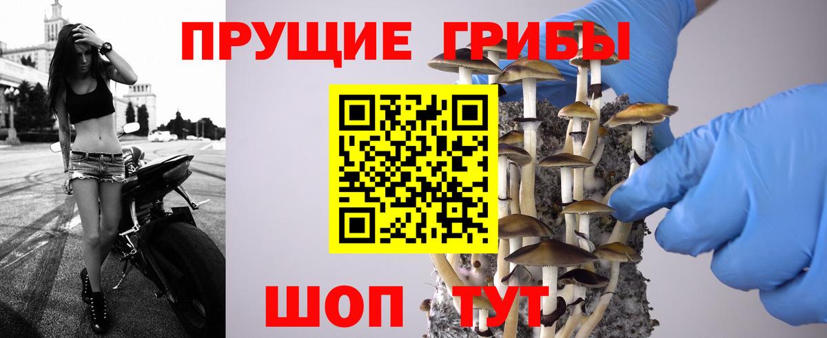 Десногорск  Галлюциногенные грибы мухоморы  Вход с VPN  Псилоцибиновые грибы GOLDEN TEACHER 